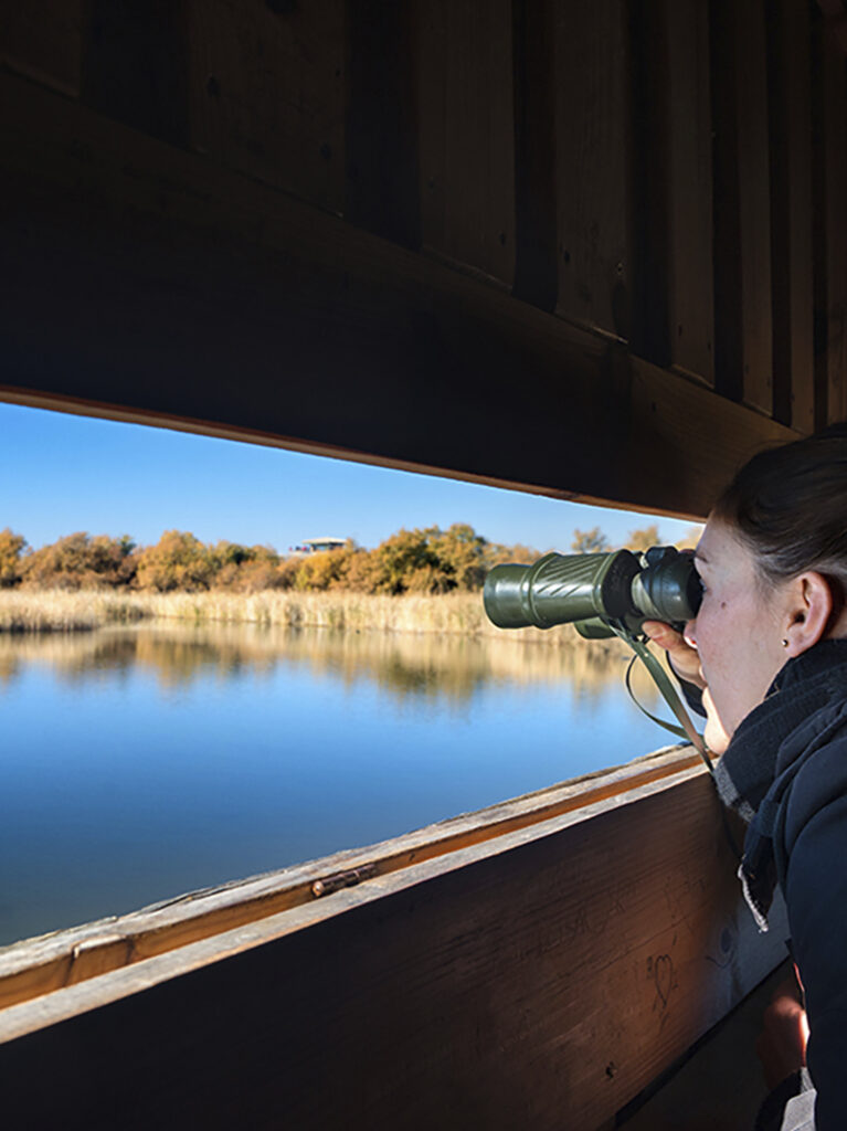 Guided visits to Tablas de Daimiel National Park